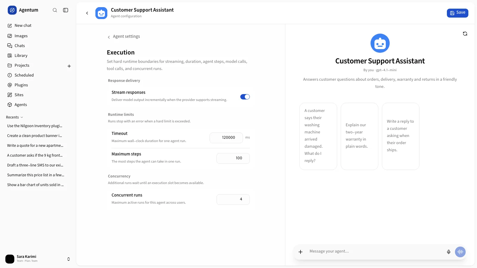 The Execution section with timeout, steps and concurrent runs