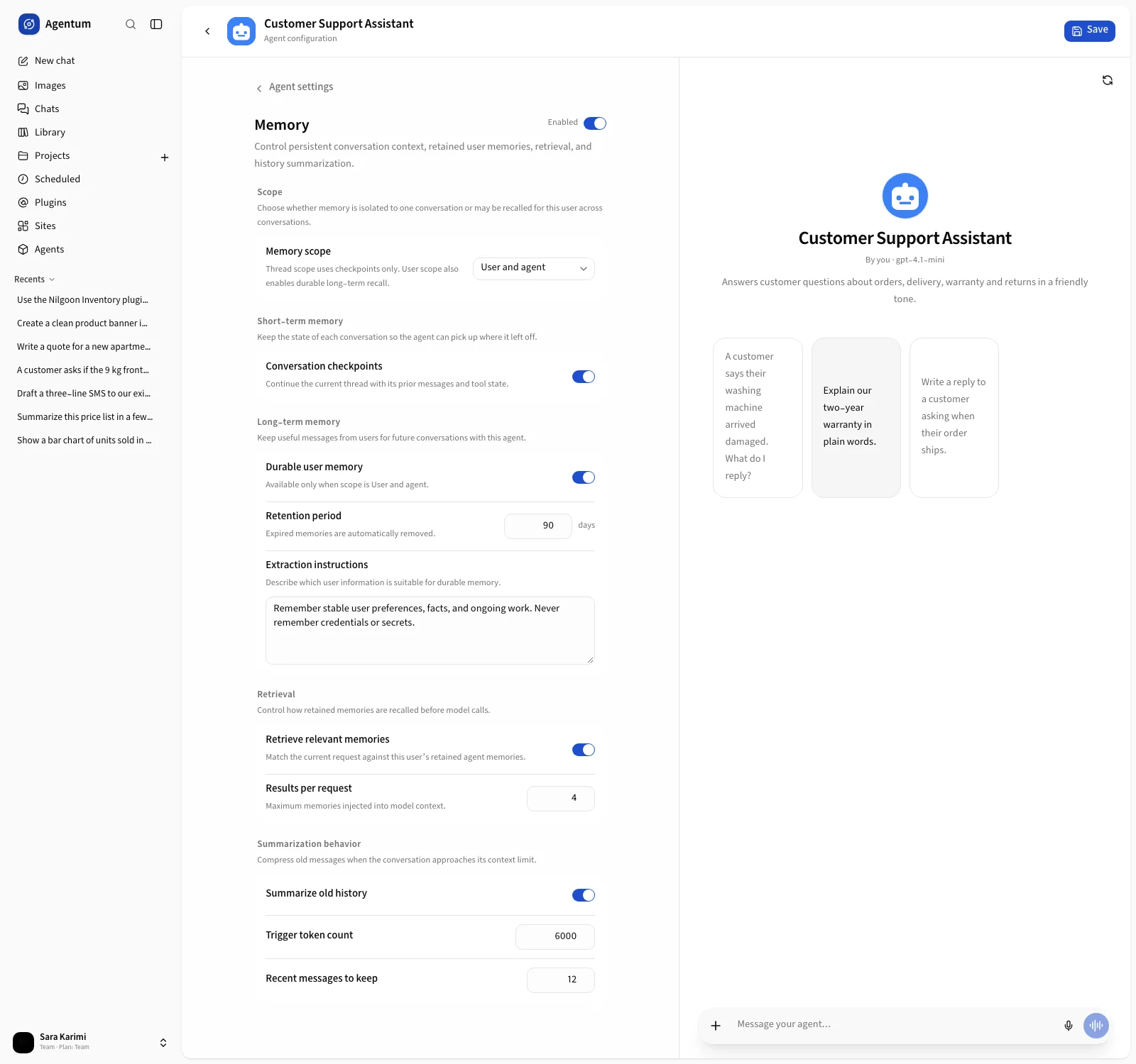 The Memory section with scope, durable memory, retrieval and summarization