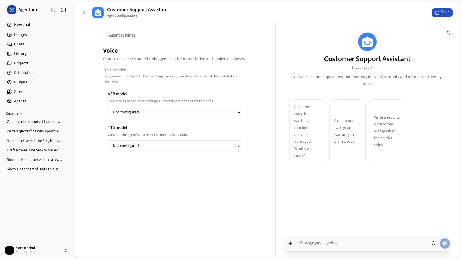 The Voice section with the speech-to-text and text-to-speech model lists