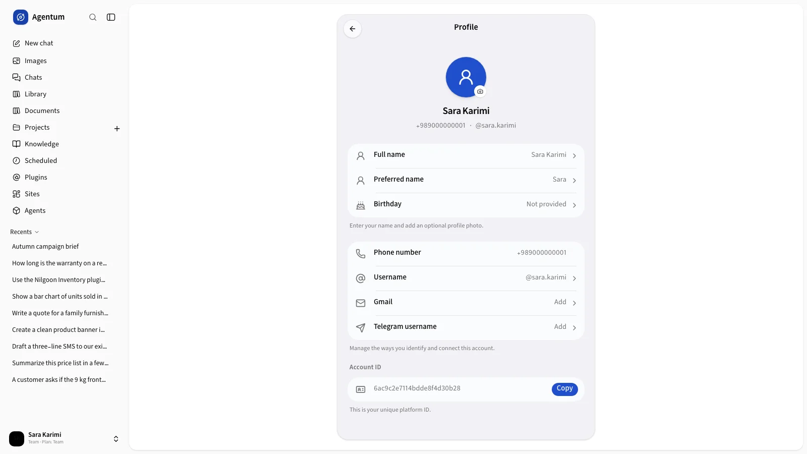 The profile page with name, phone, username and account ID