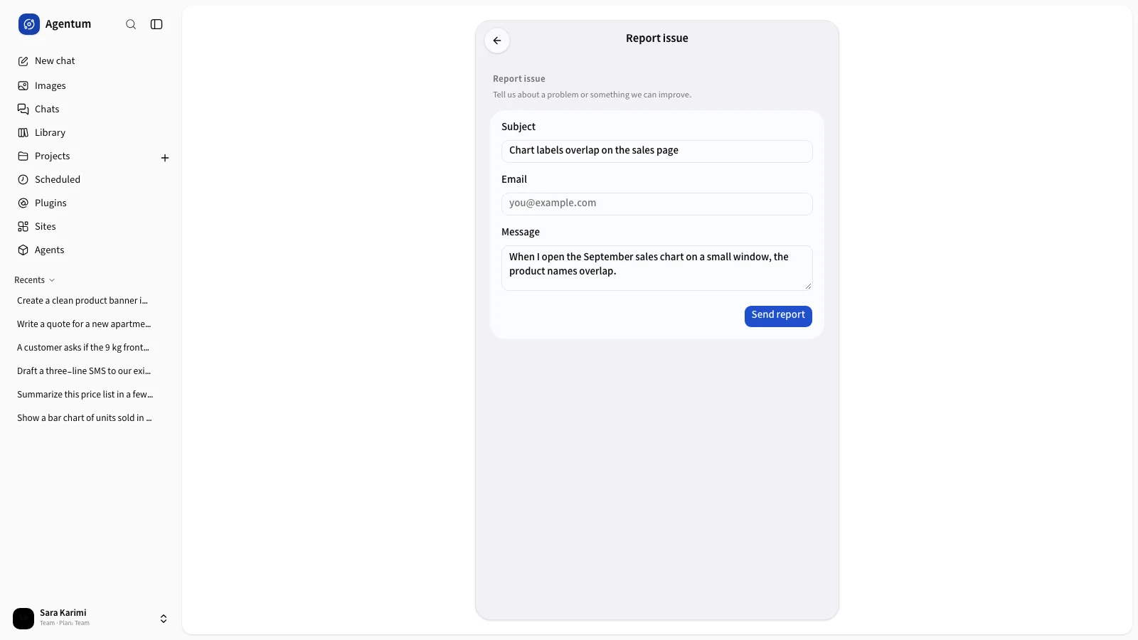 The report issue form