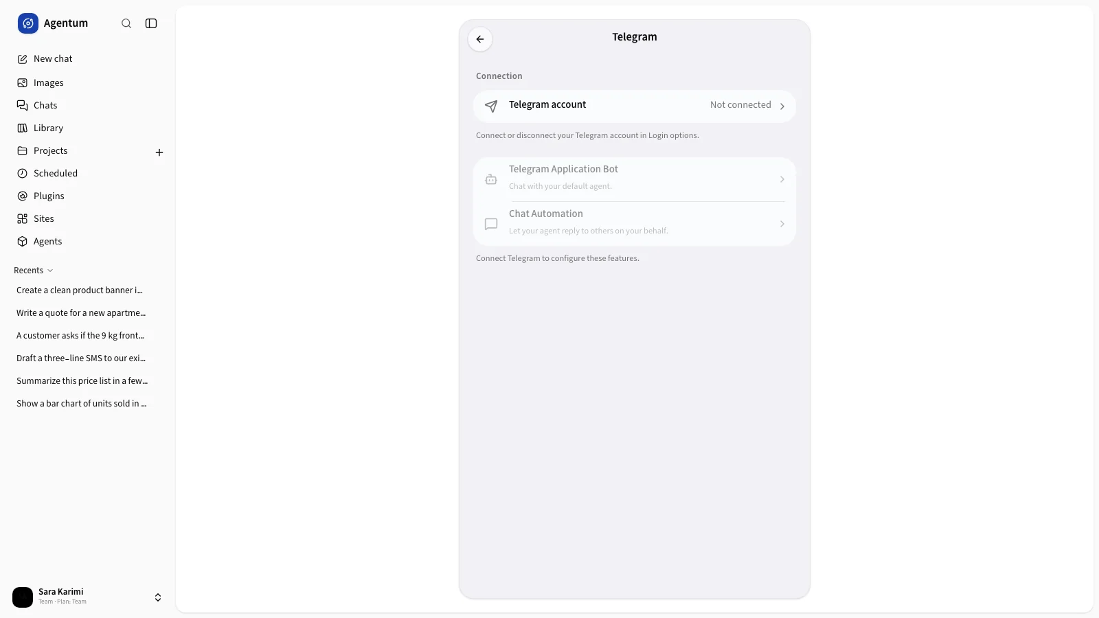 The Telegram page with connection and the two options