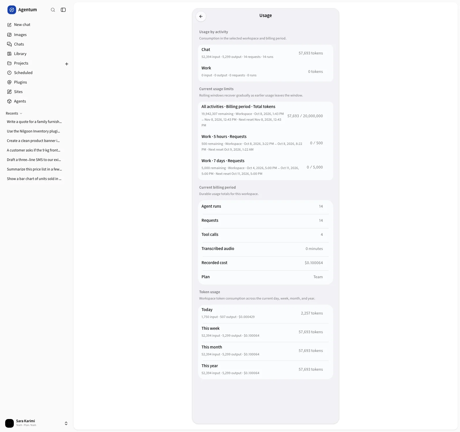 The usage page with billing period totals and token usage