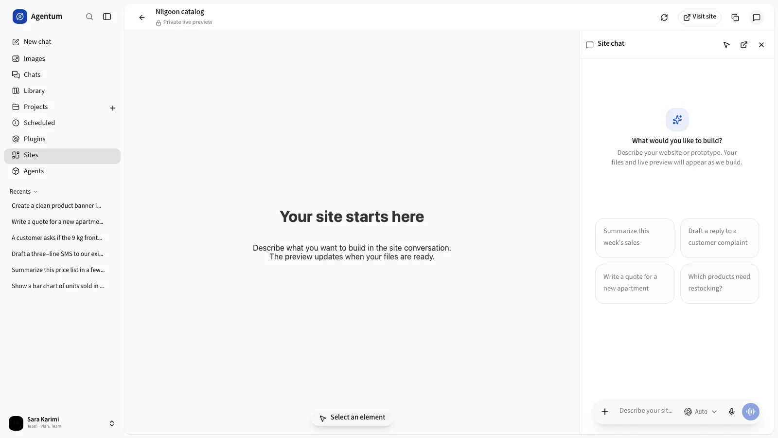 The starting page of a new site in the live preview, with the chat panel open